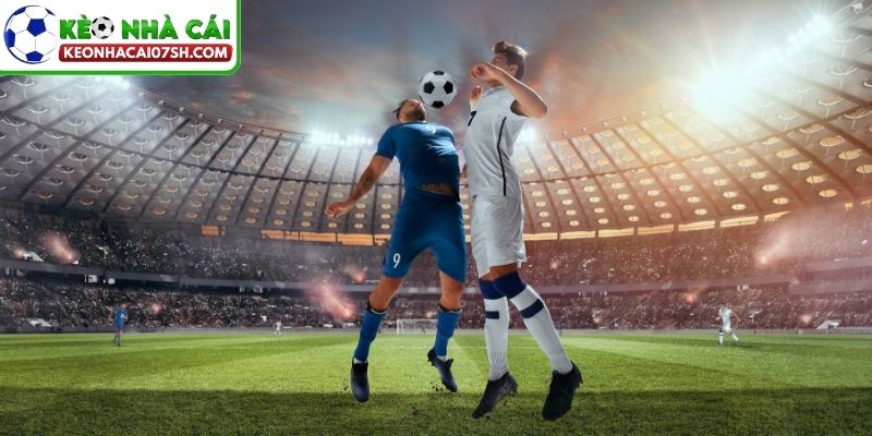 Tỷ Lệ Cược Phân Số - Cách Đọc Và Tính Lời Dễ Hiểu Nhất 4 Hiểu đúng bản chất của kèo